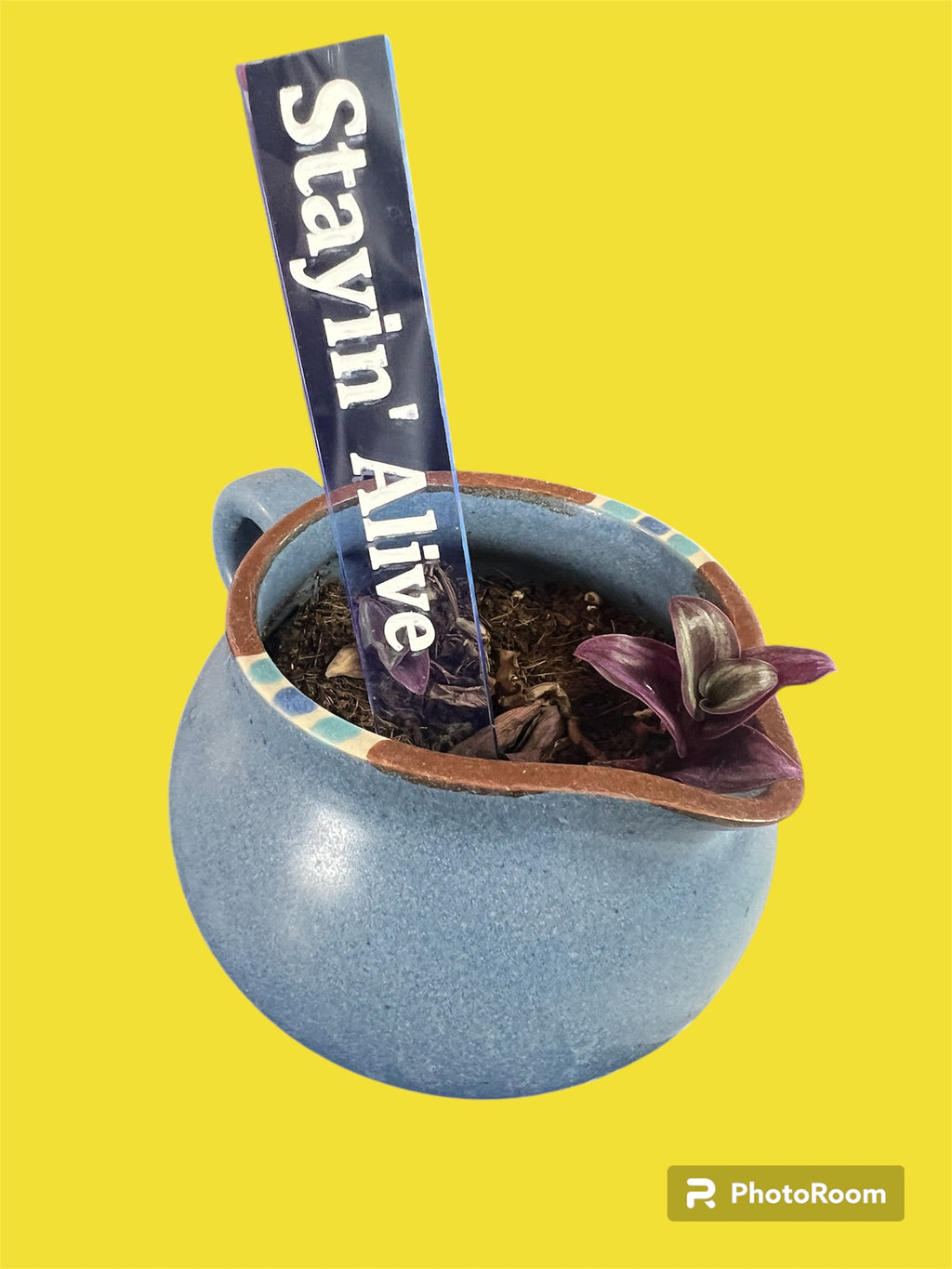 Acrylic Plant Tags