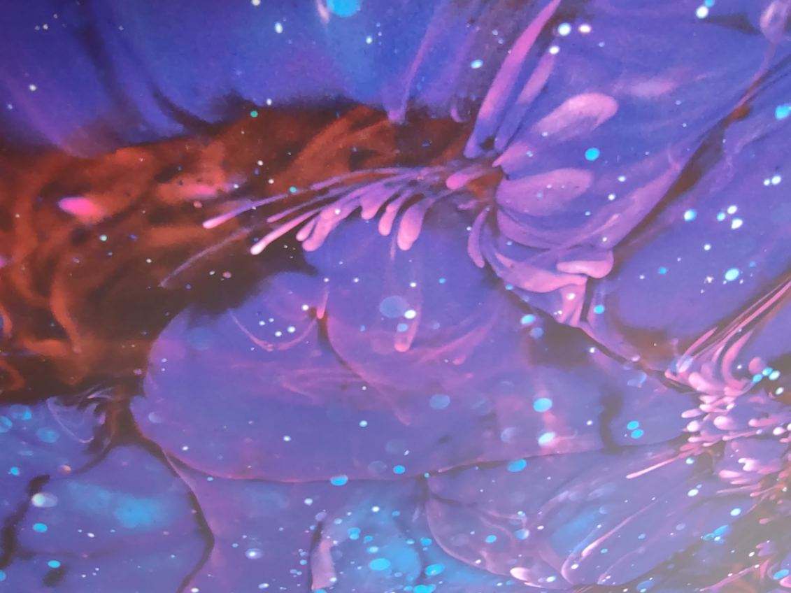 Acrylic Paper Clip Bookmark – 1/8" Thick • Durable, Minimalist, & Giftable Page Marker